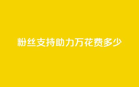 粉丝支持助力 100万，花费多少？ 第1张