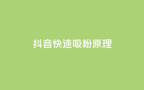 抖音快速吸粉原理 - 抖音快速吸粉的秘密揭秘!这是你不容错过的方法!~ 第1张 抖音快速吸粉原理 - 抖音快速吸粉的秘密揭秘!这是你不容错过的方法!~ 第1张