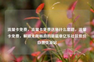 流量卡免费，流量卡免费送是什么套路，流量卡免费，解锁无限畅游的新篇章亿乐社区低价自营货源站