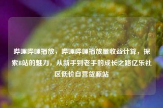 哔哩哔哩播放，哔哩哔哩播放量收益计算，探索B站的魅力，从新手到老手的成长之路亿乐社区低价自营货源站