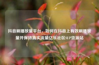 抖音刷播放量平台，如何在抖音上有效刷播放量并保持真实流量亿乐社区SUP货源站