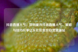 抖音直播人气，如何提升抖音直播人气，策略与技巧分享亿乐社区低价自营货源站