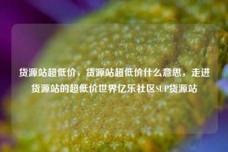 货源站超低价，货源站超低价什么意思，走进货源站的超低价世界亿乐社区SUP货源站