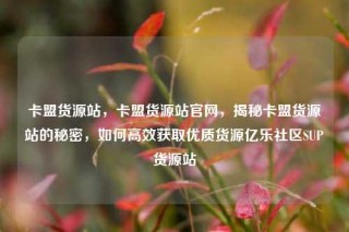 卡盟货源站，卡盟货源站官网，揭秘卡盟货源站的秘密，如何高效获取优质货源亿乐社区SUP货源站