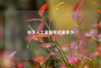 快手人工客服电话是多少