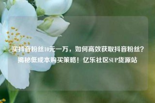 买抖音粉丝10元一万，如何高效获取抖音粉丝？揭秘低成本购买策略！亿乐社区SUP货源站