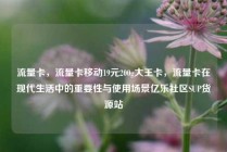 流量卡，流量卡移动19元200g大王卡，流量卡在现代生活中的重要性与使用场景亿乐社区SUP货源站