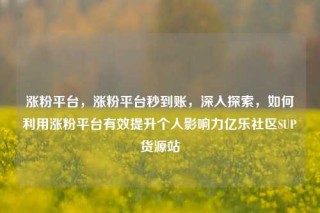涨粉平台，涨粉平台秒到账，深入探索，如何利用涨粉平台有效提升个人影响力亿乐社区SUP货源站