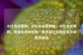 小红书点赞网，小红书点赞网址，小红书点赞网，发现生活中的每一抹色彩亿乐社区低价自营货源站