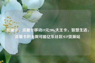 流量卡，流量卡移动19元200g大王卡，智慧生活，流量卡的无限可能亿乐社区SUP货源站