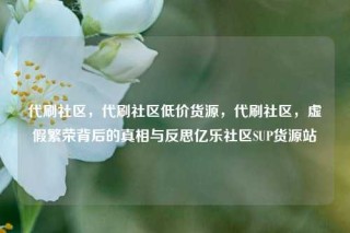 代刷社区，代刷社区低价货源，代刷社区，虚假繁荣背后的真相与反思亿乐社区SUP货源站