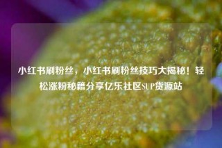 小红书刷粉丝，小红书刷粉丝技巧大揭秘！轻松涨粉秘籍分享亿乐社区SUP货源站