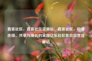 直客社区，直客社区货源站，直客社区，构建连接、共享与成长的家园亿乐社区低价自营货源站
