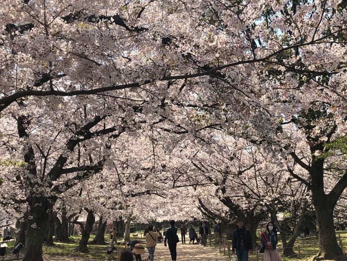 花开之处，便是故地  第21张