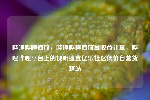 哔哩哔哩播放，哔哩哔哩播放量收益计算	，哔哩哔哩平台上的视听盛宴亿乐社区低价自营货源站  第1张