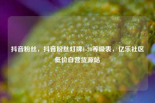 抖音粉丝，抖音粉丝灯牌1-20等级表，亿乐社区低价自营货源站  第1张