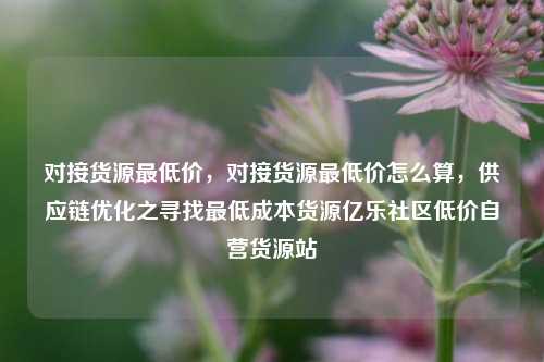对接货源最低价，对接货源最低价怎么算	，供应链优化之寻找最低成本货源亿乐社区低价自营货源站  第1张