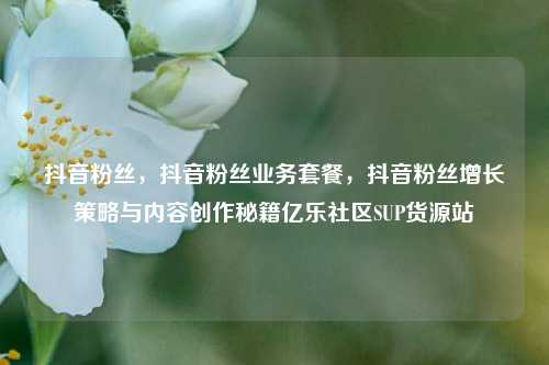 抖音粉丝，抖音粉丝业务套餐，抖音粉丝增长策略与内容创作秘籍亿乐社区SUP货源站  第1张