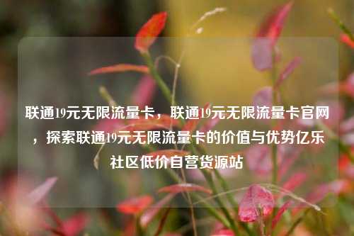 联通19元无限流量卡，联通19元无限流量卡官网	，探索联通19元无限流量卡的价值与优势亿乐社区低价自营货源站  第1张