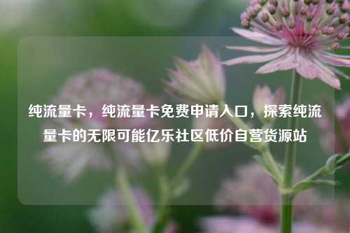 纯流量卡，纯流量卡免费申请入口	，探索纯流量卡的无限可能亿乐社区低价自营货源站  第1张