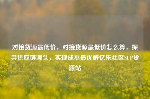 对接货源最低价	，对接货源最低价怎么算，探寻供应链源头，实现成本最优解亿乐社区SUP货源站  第1张