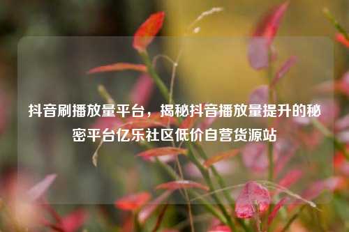 抖音刷播放量平台	，揭秘抖音播放量提升的秘密平台亿乐社区低价自营货源站  第1张