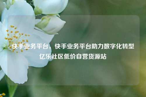 快手业务平台，快手业务平台助力数字化转型亿乐社区低价自营货源站  第1张