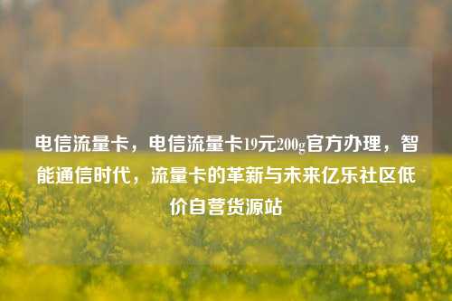电信流量卡，电信流量卡19元200g官方办理	，智能通信时代，流量卡的革新与未来亿乐社区低价自营货源站  第1张