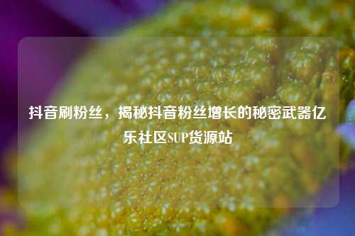 抖音刷粉丝，揭秘抖音粉丝增长的秘密武器亿乐社区SUP货源站  第1张