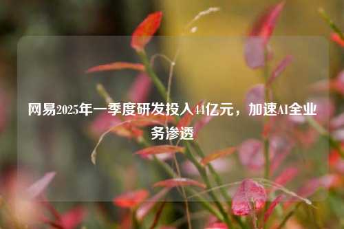 网易2025年一季度研发投入44亿元，加速AI全业务渗透  第1张