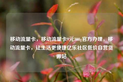 移动流量卡，移动流量卡9元300g官方办理，移动流量卡	，让生活更便捷亿乐社区低价自营货源站  第1张