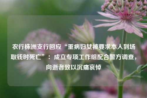 农行株洲支行回应“重病妇女被要求本人到场取钱时死亡”：成立专项工作组配合警方调查	，向逝者致以沉痛哀悼  第1张