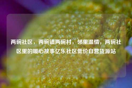 两碗社区，两碗镇两碗村，邻里温情，两碗社区里的暖心故事亿乐社区低价自营货源站  第1张