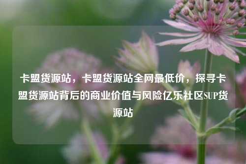 卡盟货源站，卡盟货源站全网最低价	，探寻卡盟货源站背后的商业价值与风险亿乐社区SUP货源站  第1张