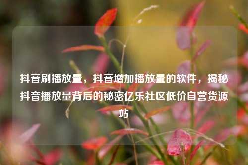抖音刷播放量	，抖音增加播放量的软件，揭秘抖音播放量背后的秘密亿乐社区低价自营货源站  第1张
