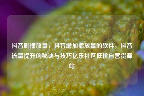 抖音刷播放量，抖音增加播放量的软件	，抖音流量提升的秘诀与技巧亿乐社区低价自营货源站  第1张