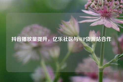 抖音播放量提升，亿乐社区与SUP货源站合作  第1张