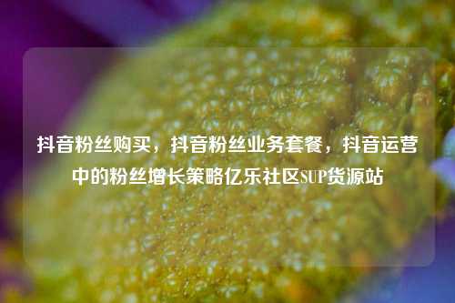 抖音粉丝购买，抖音粉丝业务套餐	，抖音运营中的粉丝增长策略亿乐社区SUP货源站  第1张