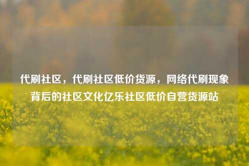代刷社区，代刷社区低价货源	，网络代刷现象背后的社区文化亿乐社区低价自营货源站  第1张