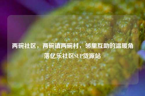 两碗社区，两碗镇两碗村，邻里互助的温暖角落亿乐社区SUP货源站  第1张