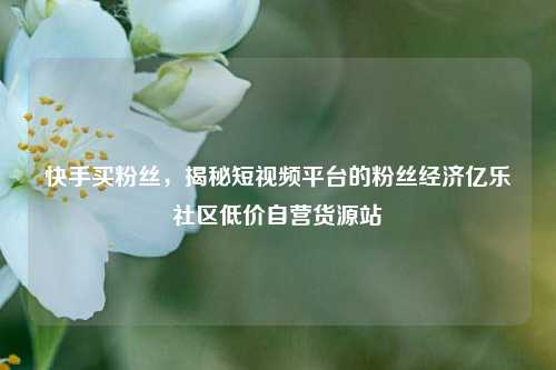 快手买粉丝，揭秘短视频平台的粉丝经济亿乐社区低价自营货源站  第1张