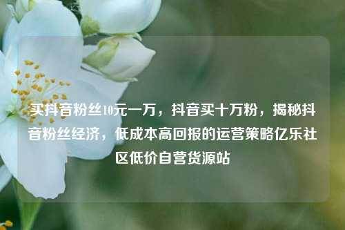 买抖音粉丝10元一万，抖音买十万粉，揭秘抖音粉丝经济，低成本高回报的运营策略亿乐社区低价自营货源站  第1张
