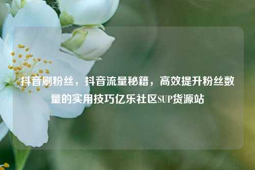 抖音刷粉丝，抖音流量秘籍	，高效提升粉丝数量的实用技巧亿乐社区SUP货源站  第1张