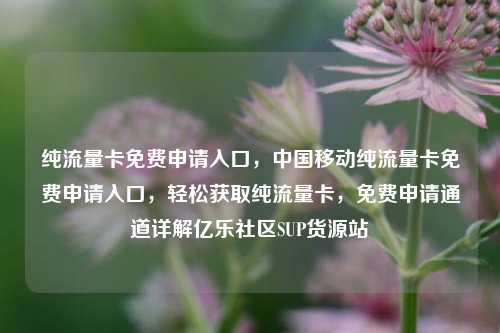 纯流量卡免费申请入口	，中国移动纯流量卡免费申请入口，轻松获取纯流量卡，免费申请通道详解亿乐社区SUP货源站  第1张