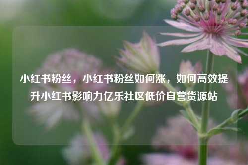 小红书粉丝，小红书粉丝如何涨，如何高效提升小红书影响力亿乐社区低价自营货源站  第1张