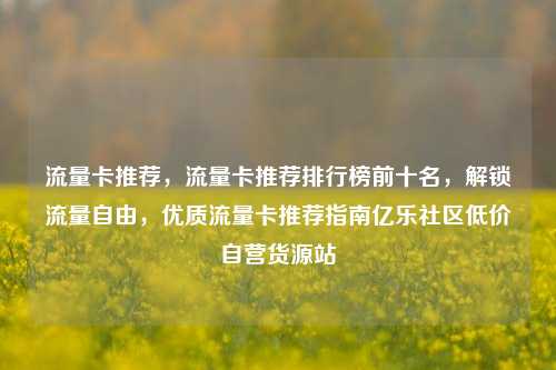 流量卡推荐	，流量卡推荐排行榜前十名，解锁流量自由，优质流量卡推荐指南亿乐社区低价自营货源站  第1张
