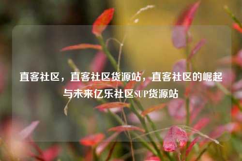 直客社区，直客社区货源站，直客社区的崛起与未来亿乐社区SUP货源站  第1张
