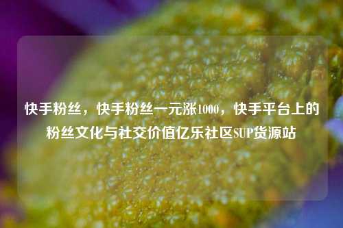 快手粉丝	，快手粉丝一元涨1000，快手平台上的粉丝文化与社交价值亿乐社区SUP货源站  第1张