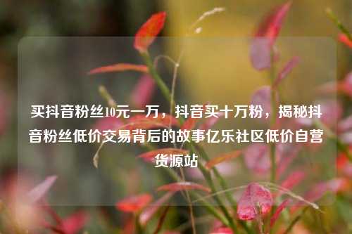 买抖音粉丝10元一万，抖音买十万粉，揭秘抖音粉丝低价交易背后的故事亿乐社区低价自营货源站  第1张