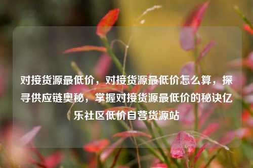 对接货源最低价，对接货源最低价怎么算，探寻供应链奥秘	，掌握对接货源最低价的秘诀亿乐社区低价自营货源站  第1张